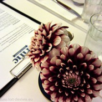 Trific | August 2010
