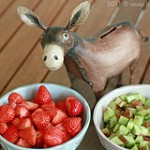 Erdbeer-Rhabarberkuchen